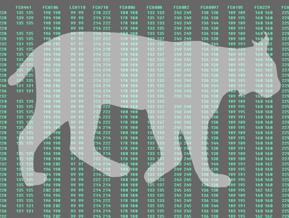 photomontage d'une silhouette de lynx devant un séquençage génétique