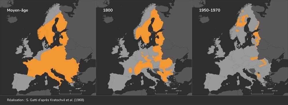 cartes représentant l'évolution de la présence du Lynx boréal en Europe, du Moyen Age au milieu du 20ème siècle