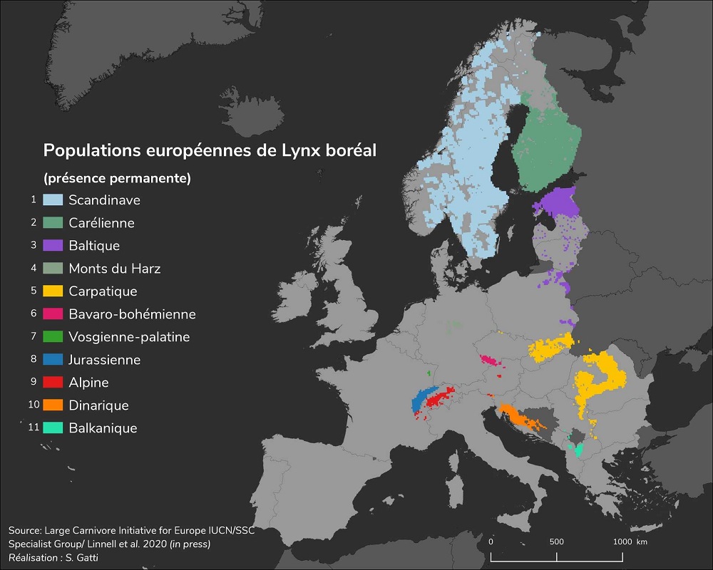 carte représentant la répartition des populations de lynx boreal en europe
