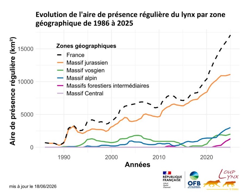 Ce graphique présente l'évolution de la superficie de l'aire de présence régulière du lynx entre 1986 et 2025. Les données sont représentées pour l'ensemble de la France ainsi que pour plusieurs zones géographiques : massif jurassien, massif vosgien, massif alpin, massifs forestiers intermédiaires et Massif central.