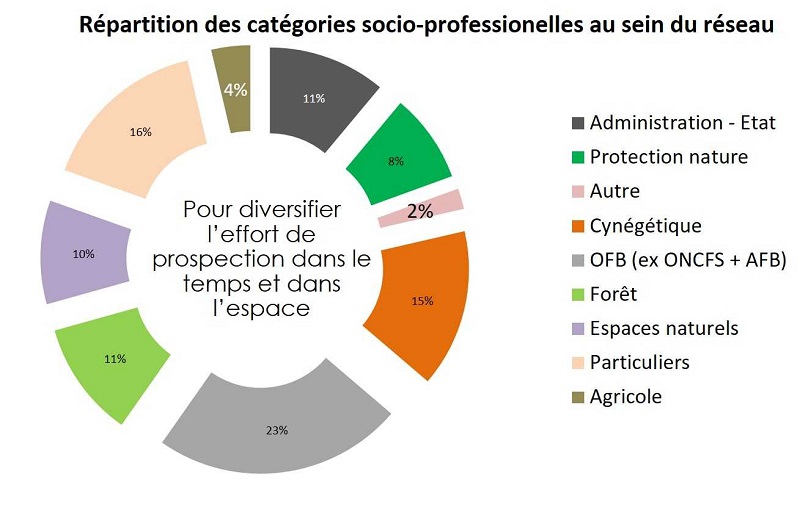 Représentation graphique de la répartition des catégories socioprofessionnelles au sein du réseau