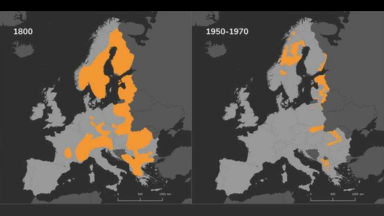juxtaposition de 2 cartes représentant l'évolution de la population du lynx en europe
