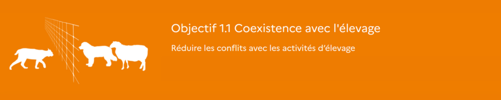 Dessin illustration Objectif 1-1: coexistence avec l'élevage