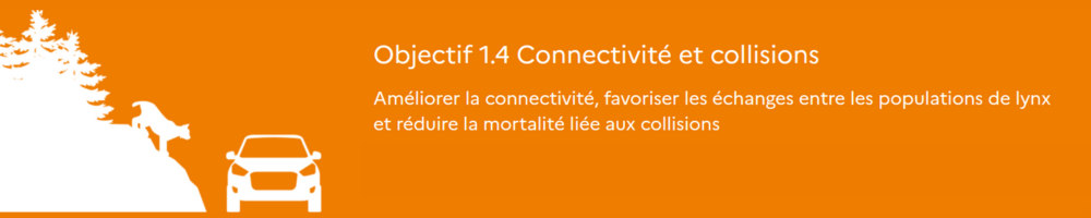 Dessin illustration Objectif 1-4: connectivité et collisions