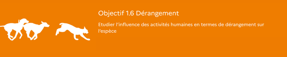 Dessin illustration Objectif 1-6: dérangement