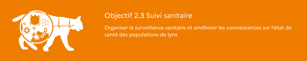 Dessin illustration Objectif 2-3: suivi sanitaire