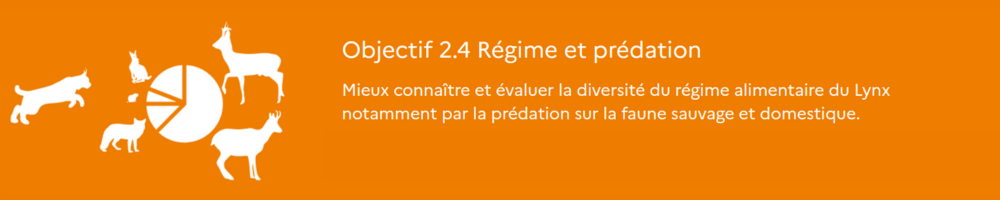 Dessin illustration Objectif 2-4: régime et prédation