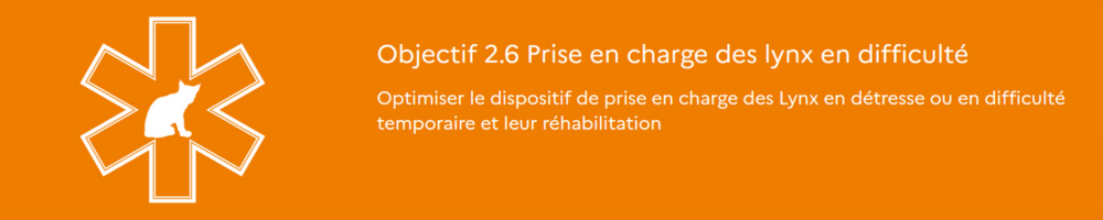 Dessin illustration Objectif 2-6: prise en charge des lynx en difficulté